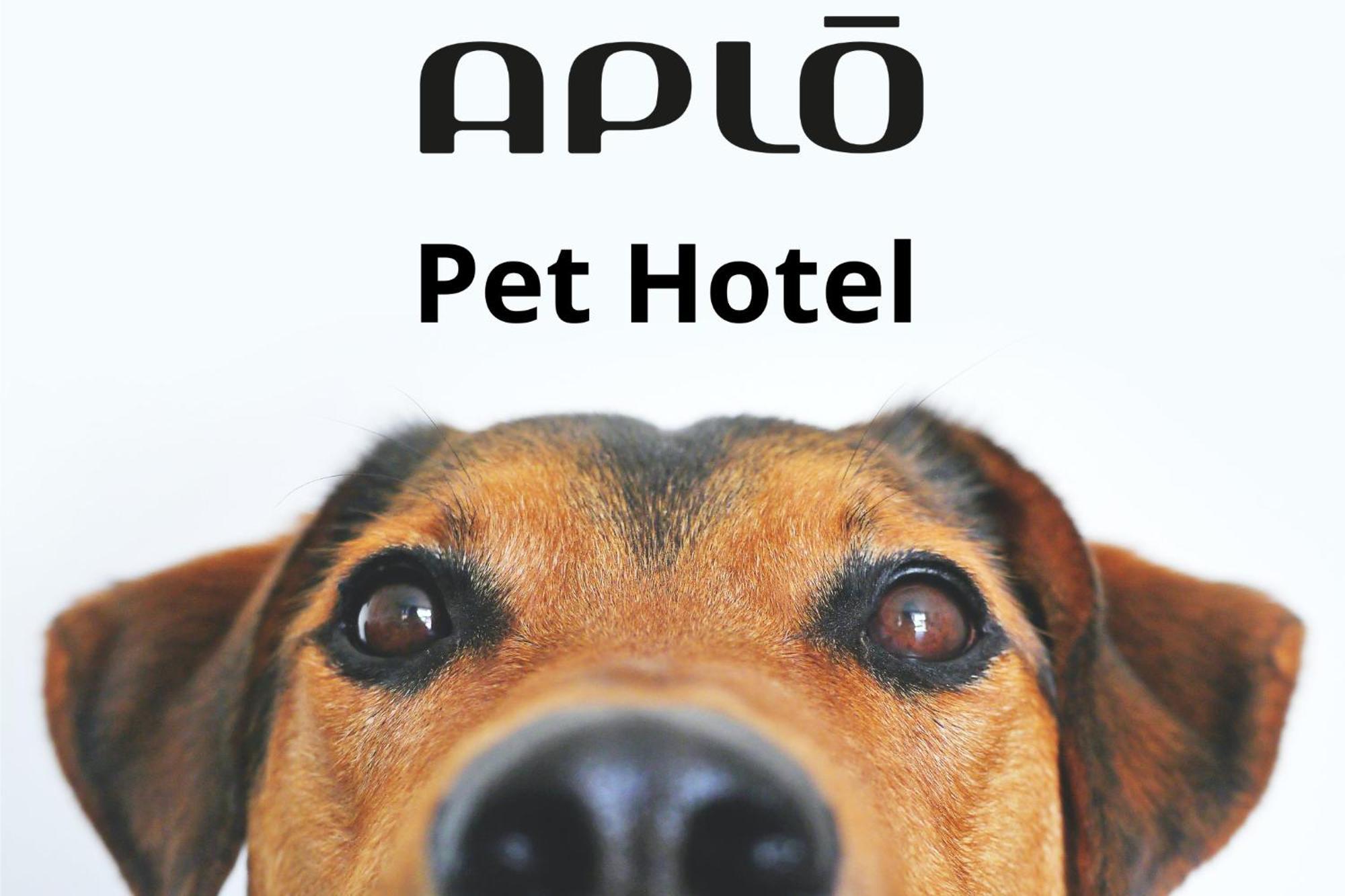 קרביה Hotel Aplo - Breakfast Experience מראה חיצוני תמונה