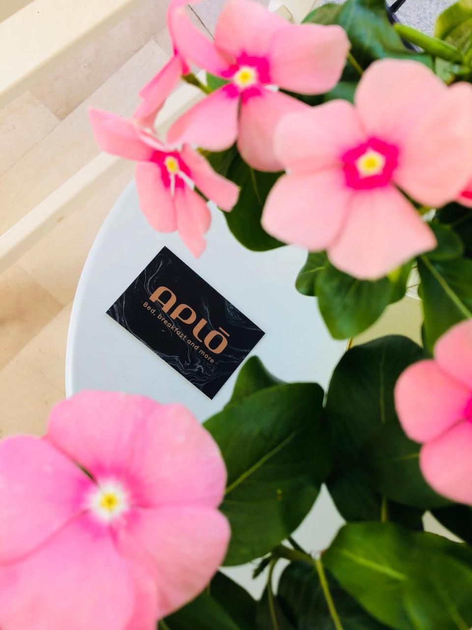 קרביה Hotel Aplo - Breakfast Experience מראה חיצוני תמונה